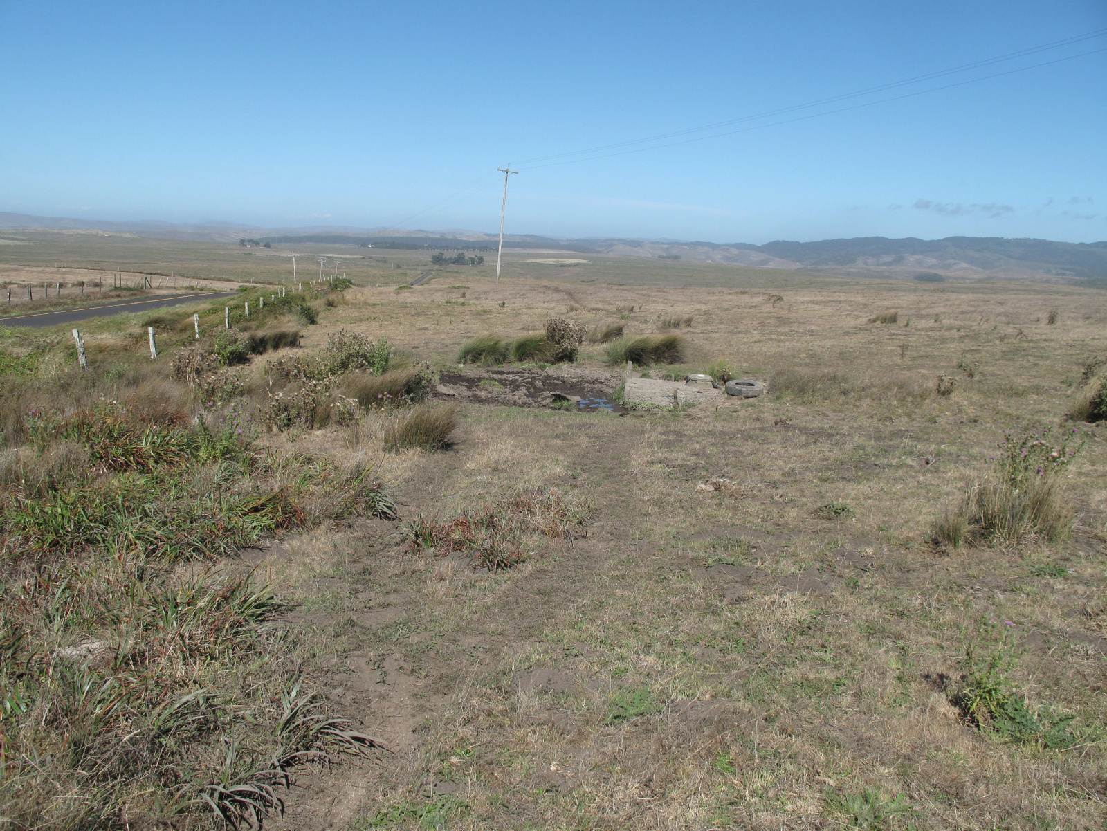 09 Rana draytonii capped spring habitat